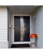 Fargo 37 DB - puerta entrada metalica con sidelite