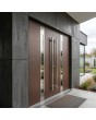 LIM C1 doble - moderna puerta principal de aluminio con doble bisagra y cristal