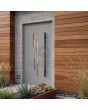 Puerta de entrada moderna de aluminio gris con ventanas verticales