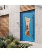 Puerta de entrada de aluminio azul de estilo moderno