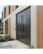 Puerta de entrada de aluminio negro con doble bisagra y cristal vertical