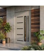 Puerta de entrada moderna de aluminio gris