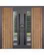 LIM RAIL4 doble - puerta doble de aluminio con lamas verticales y ventana