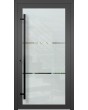 LIM Glass S - puerta principal esmerilada con motivo transparente