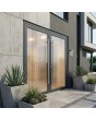 Puerta doble de aluminio esmerilado color antracita con motivo transparente