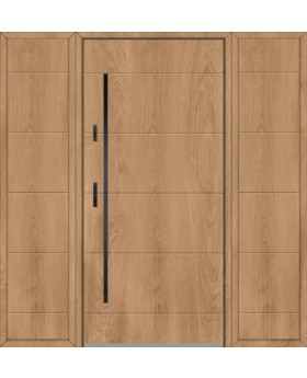 Fargo 26C T - puerta principal con dos sidelites
